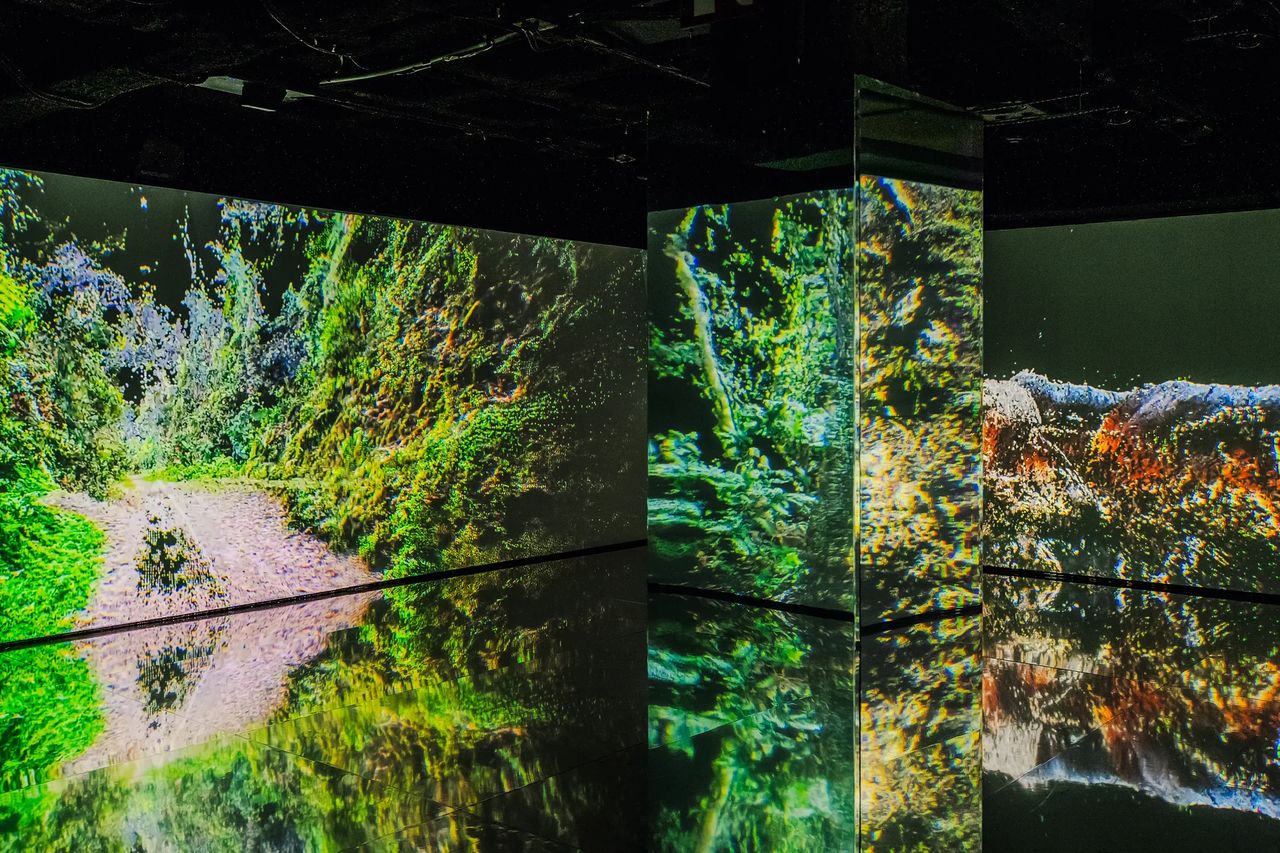 Fronteras digitales de la imagen