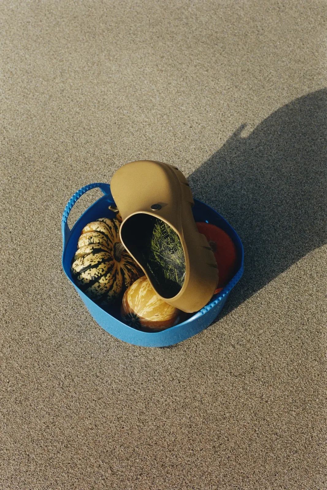 Birkenstock x Song for the Mute