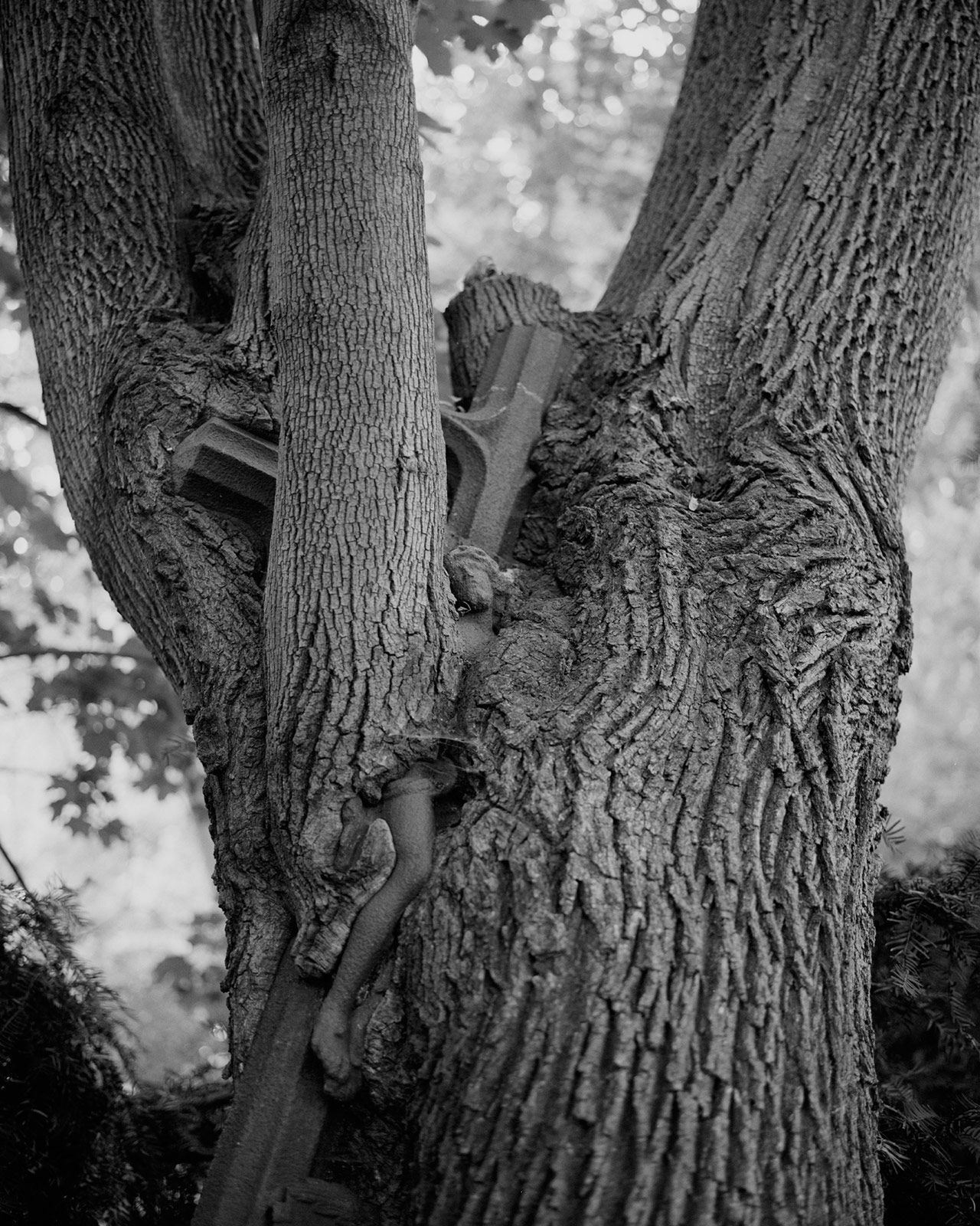 Tereza Zelenkova 02 Snake That Disappeared 06 Jesus.jpg