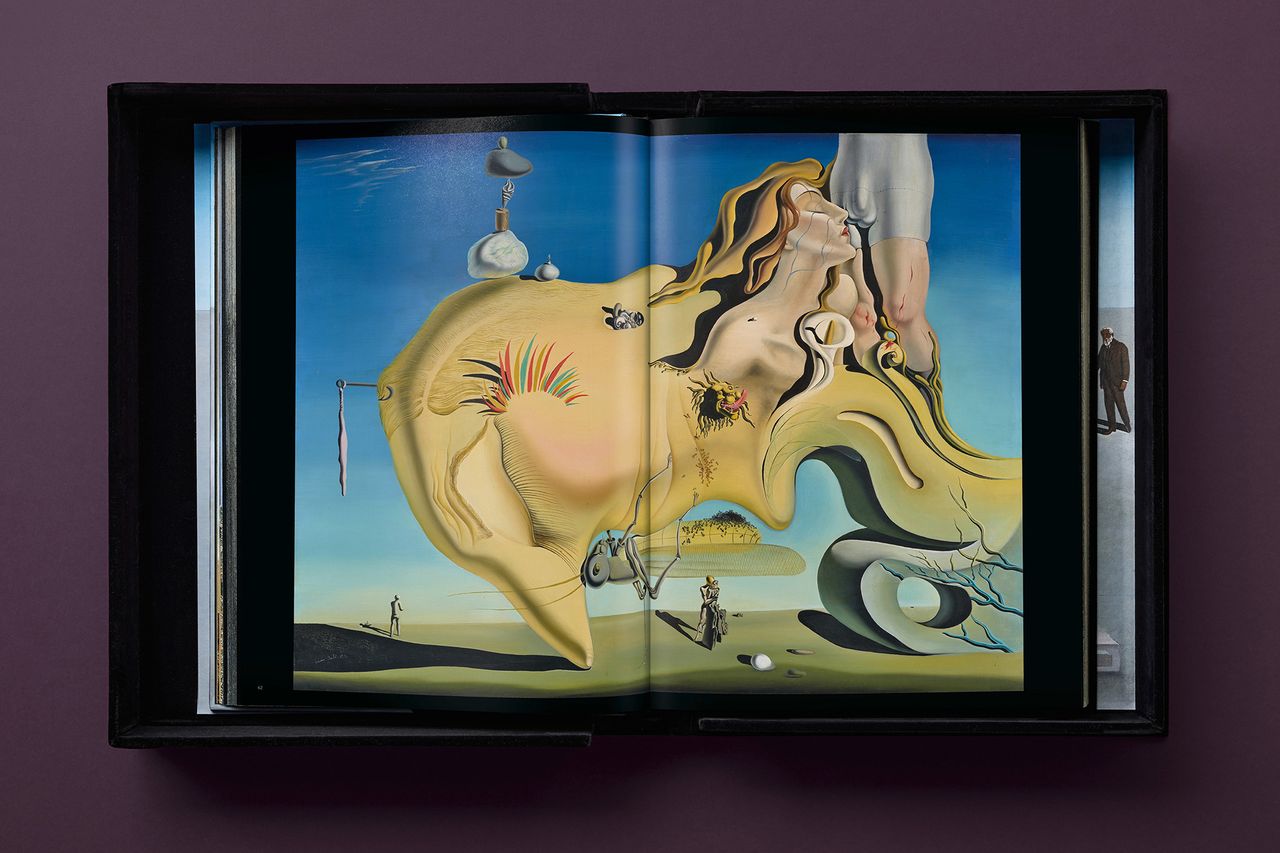DALI_BABY_SUMO_CE_INT_BOXOPEN001-062-063-X_01147.jpg
