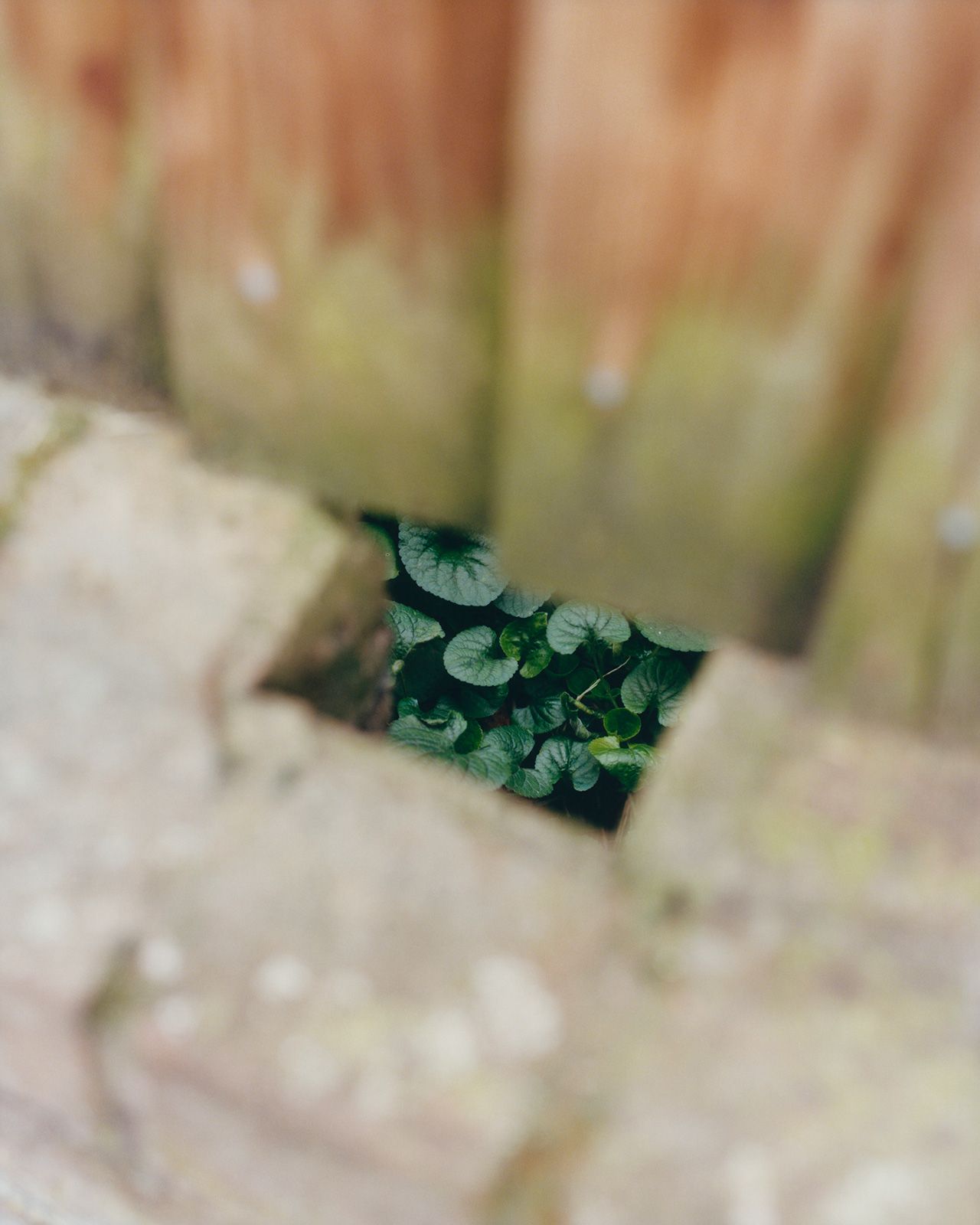 Sirui_Ma_1.jpg