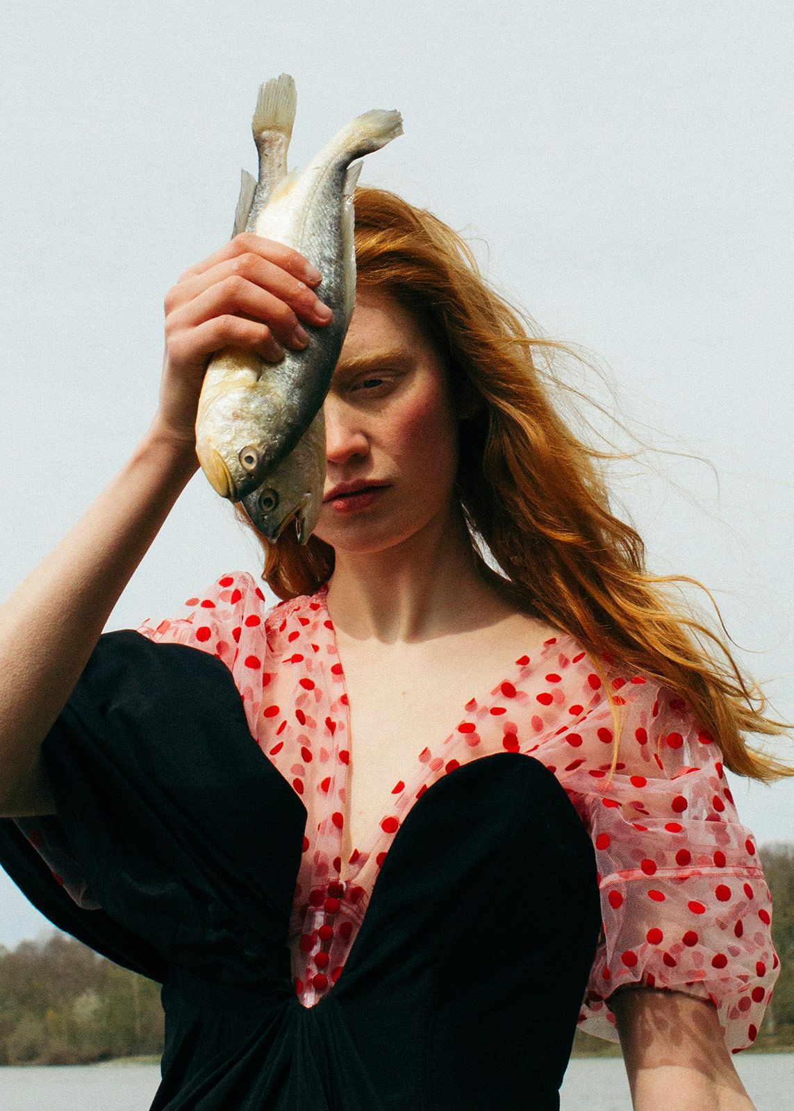 Antoine Henault Metalmagazine 9.jpg