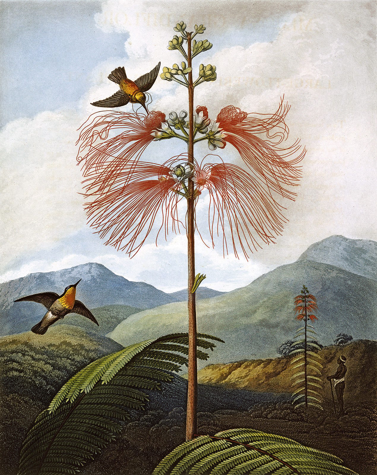 090 Philip Reinagle.jpg