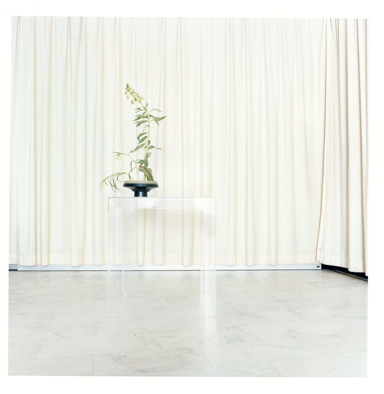 Fumiko Imano Loewe 14.jpg