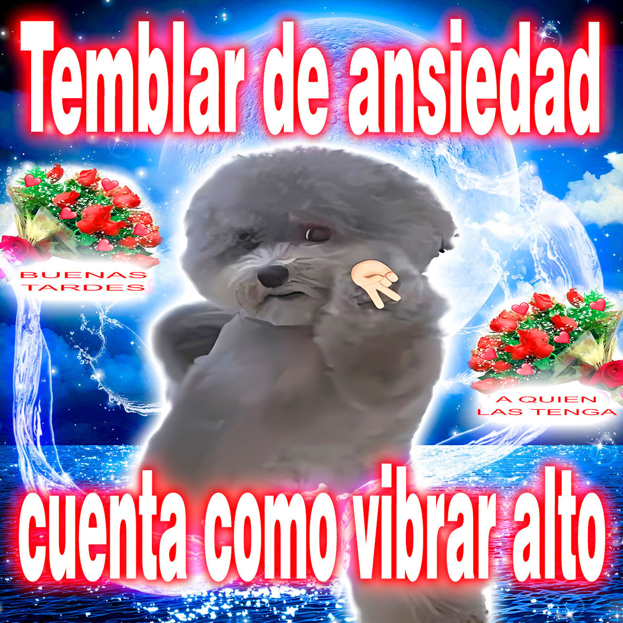 Afirmaciones 7.jpg