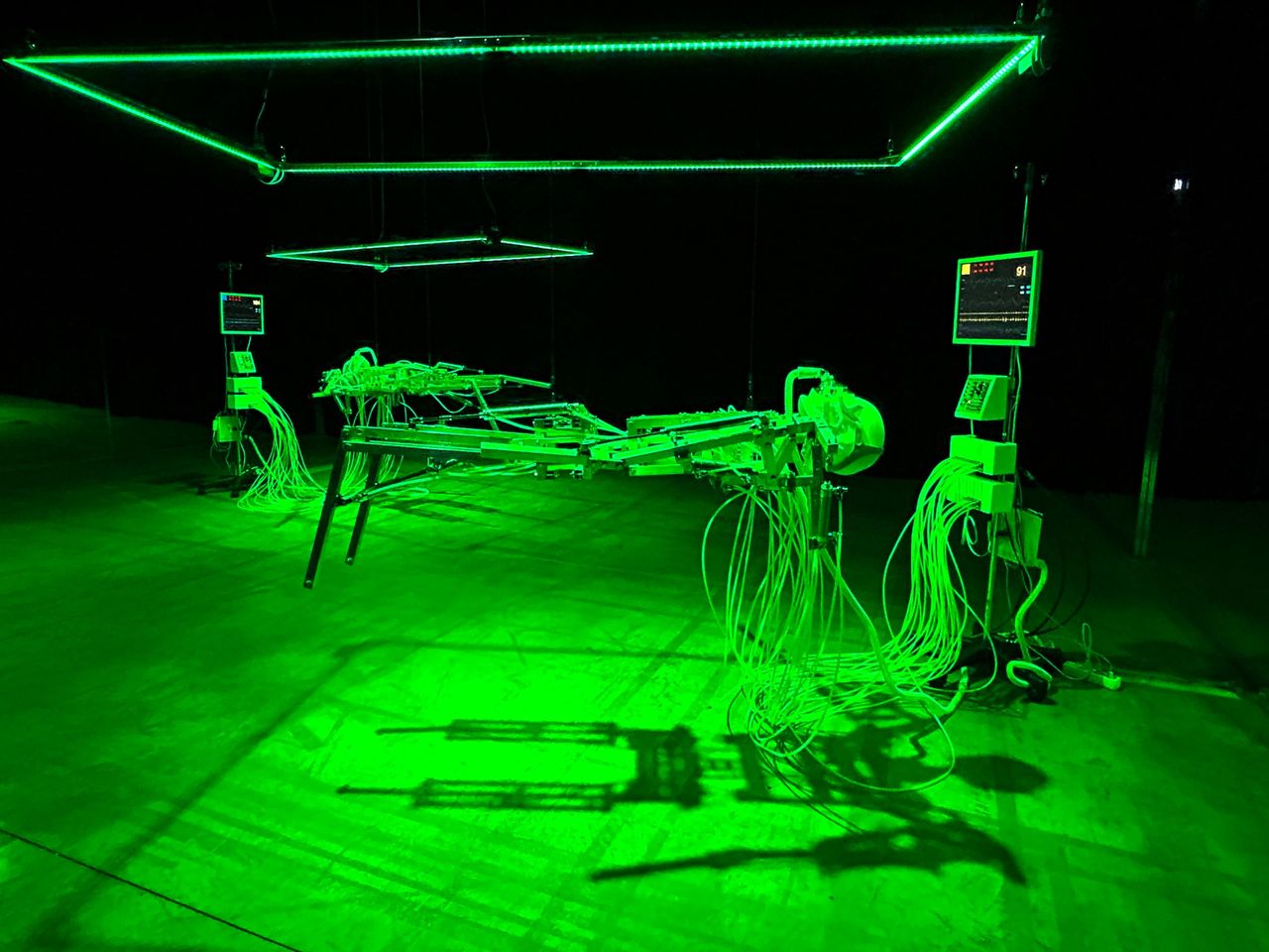 Biennale Nemo Centquatre2.jpg