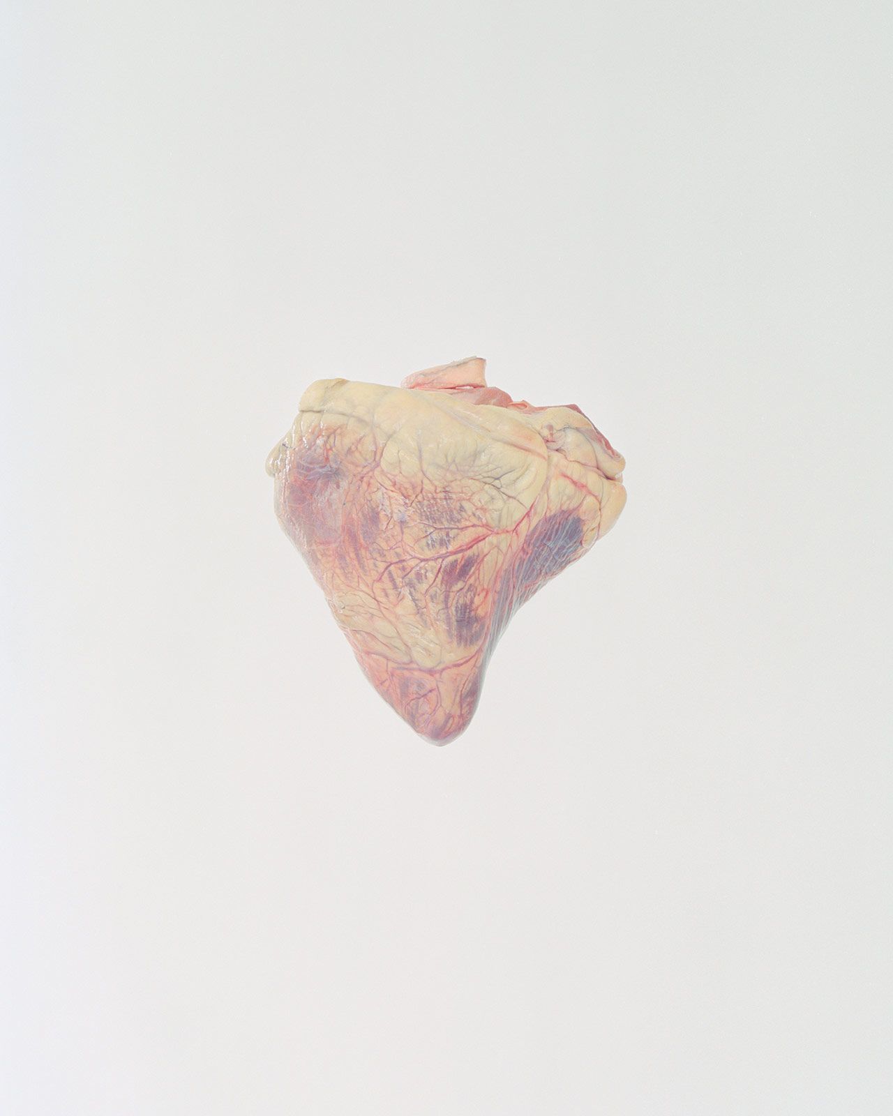 Ward Roberts Metalmagazine 3.jpg