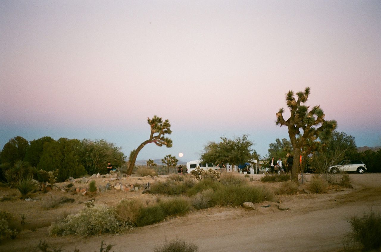 Desertdaze Metalmagazine 2.jpg