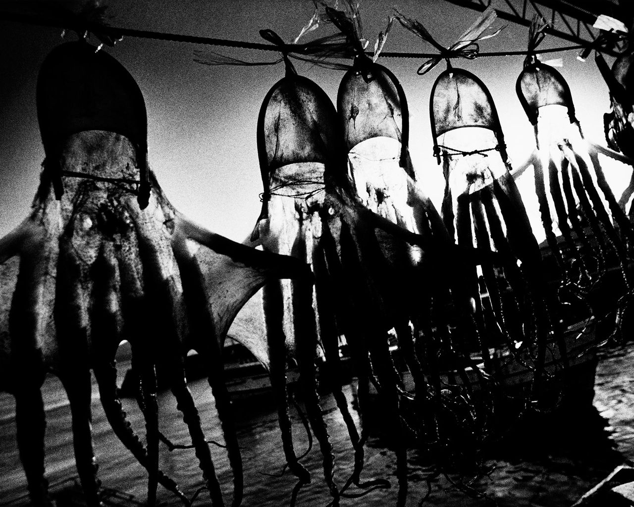 Daido Moriyama Metalmagazine 5.jpg