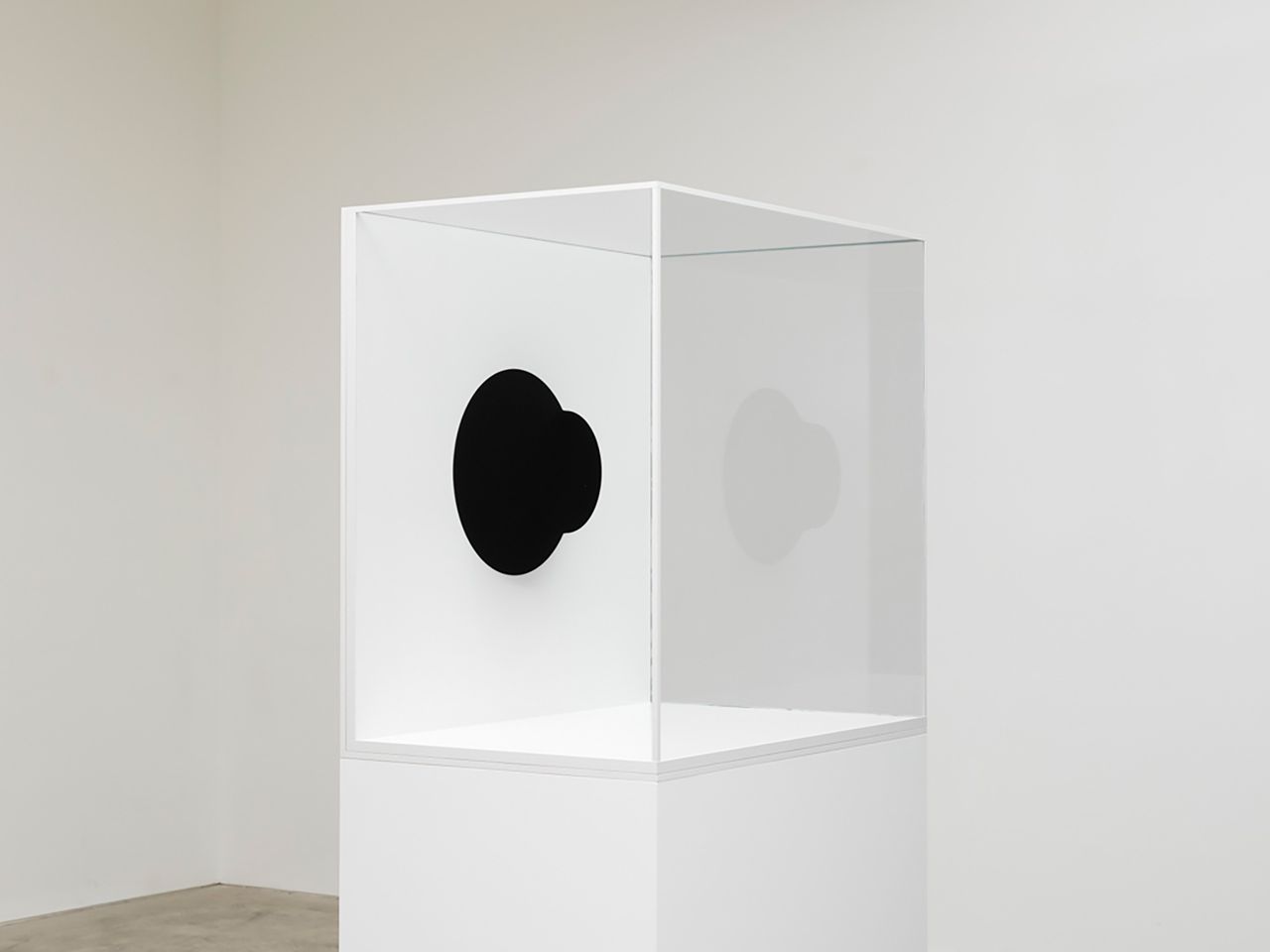 Anish Kapoor Metalmagazine 1.jpg