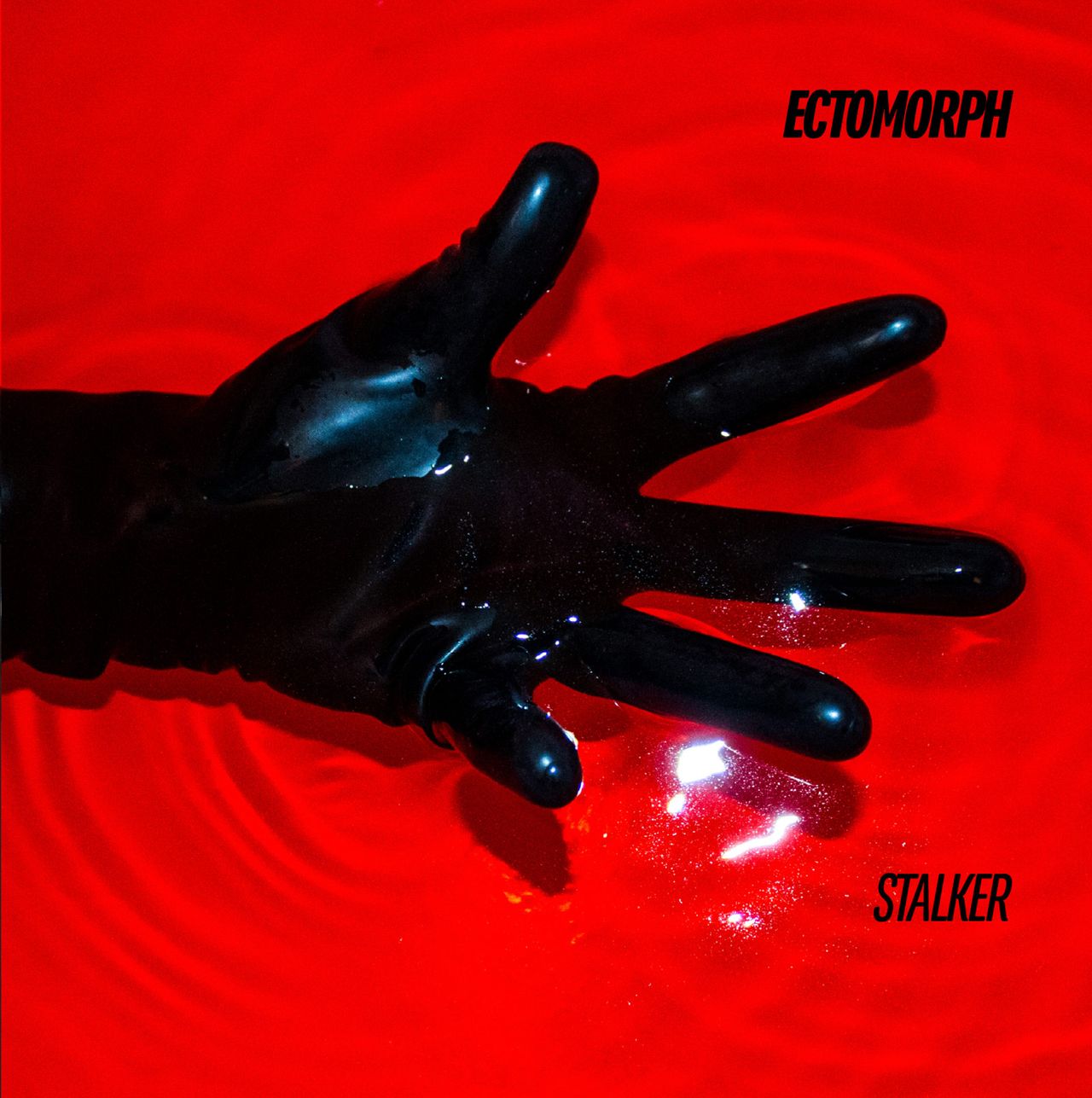 Ectomorph Metalmagazine 1.jpg