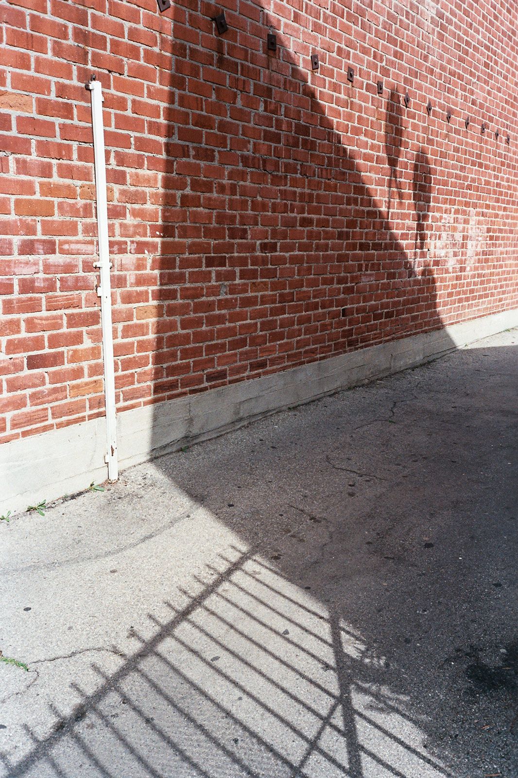 7 Lf.jpg