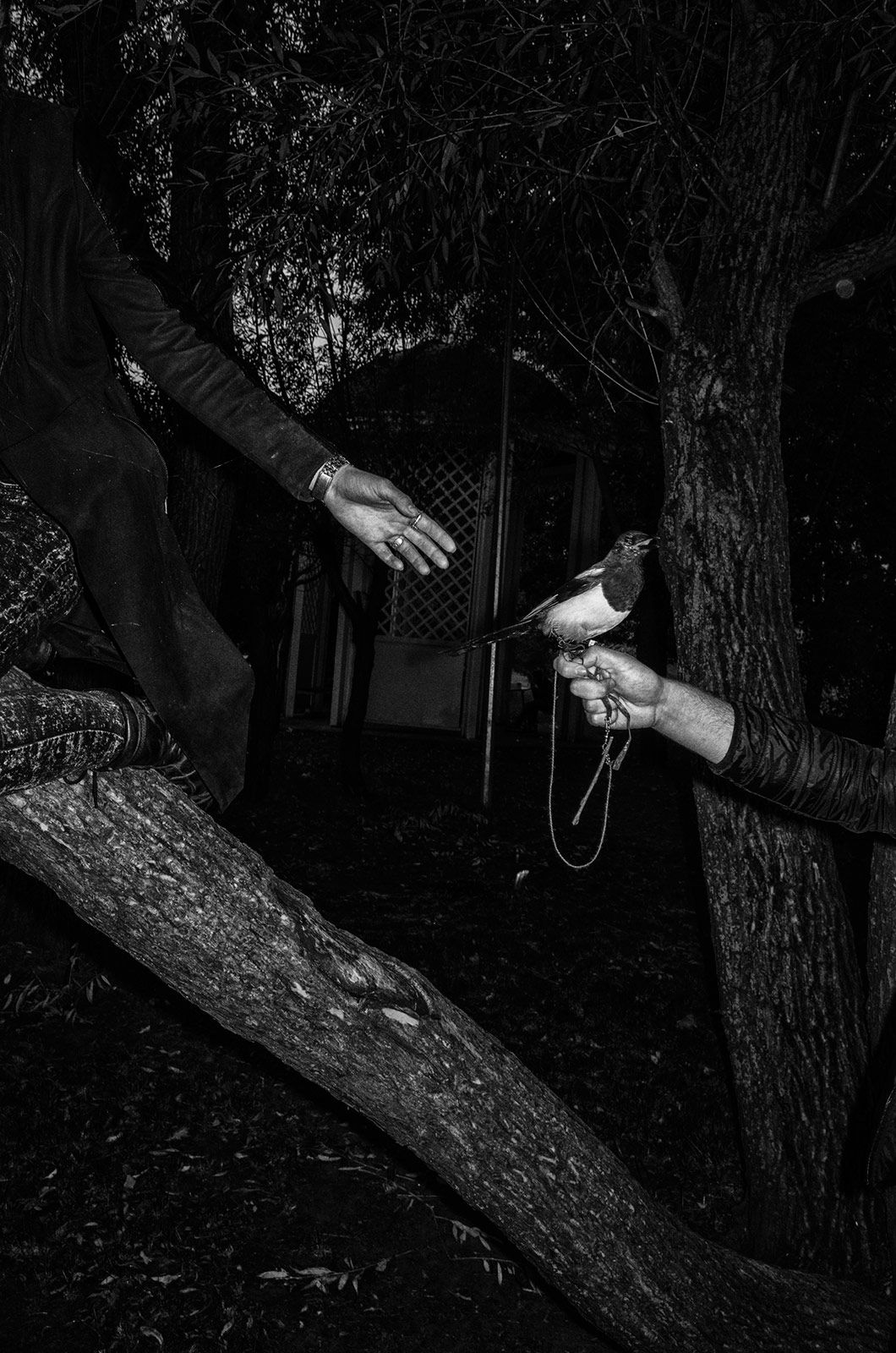 Jon Cuadros Metalmagazine 8.jpg