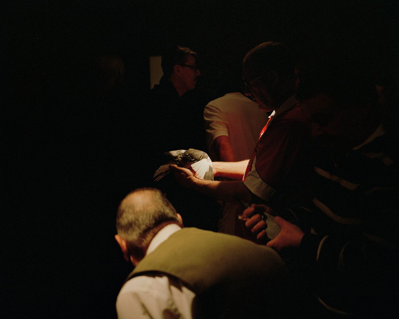 Fergus Thomas 01.jpg