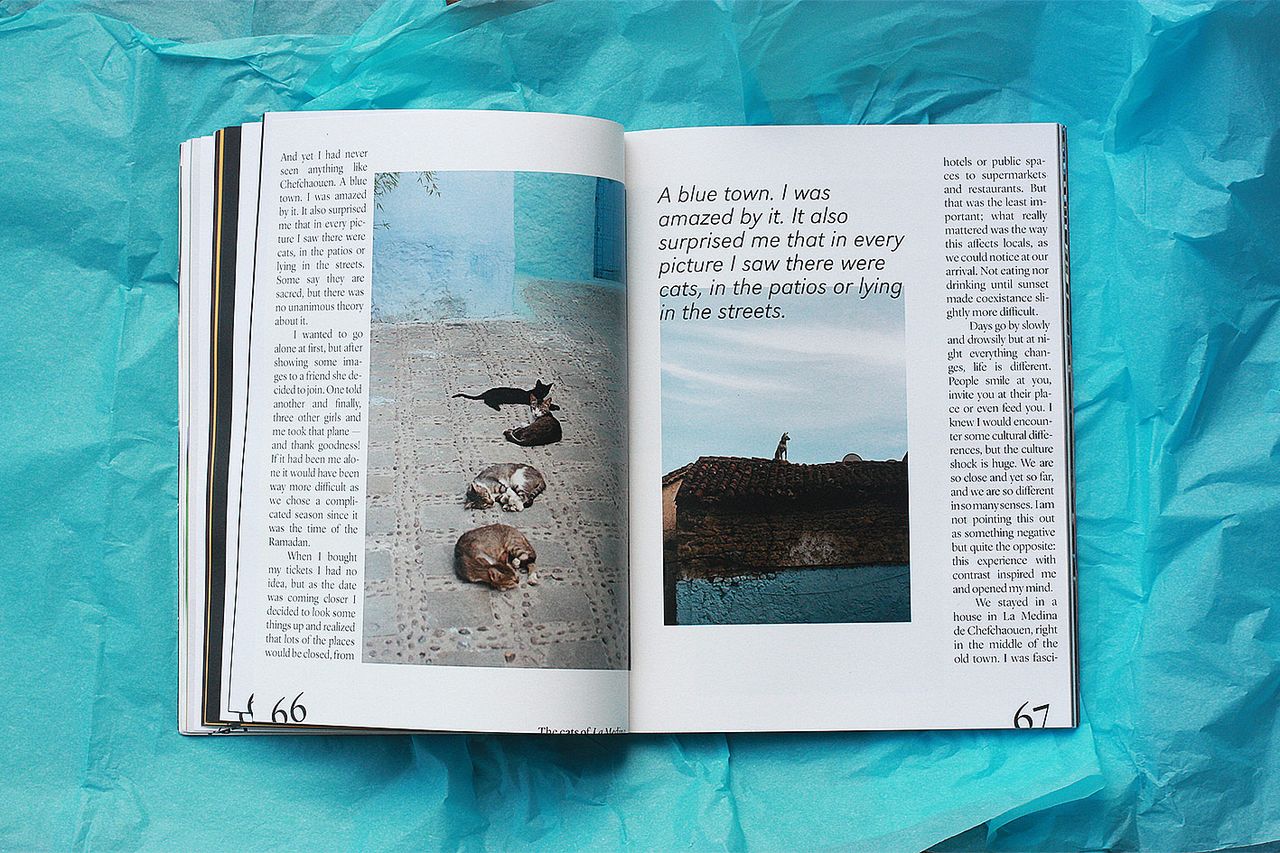 Agapornis Vol3 8.jpg