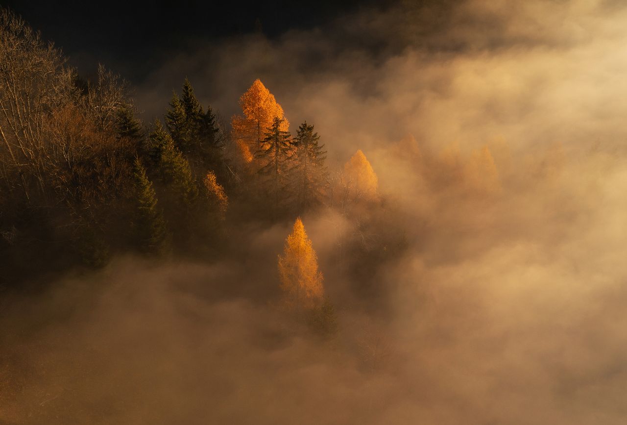 Ethereal World Depositphotos 569131734 El.jpg