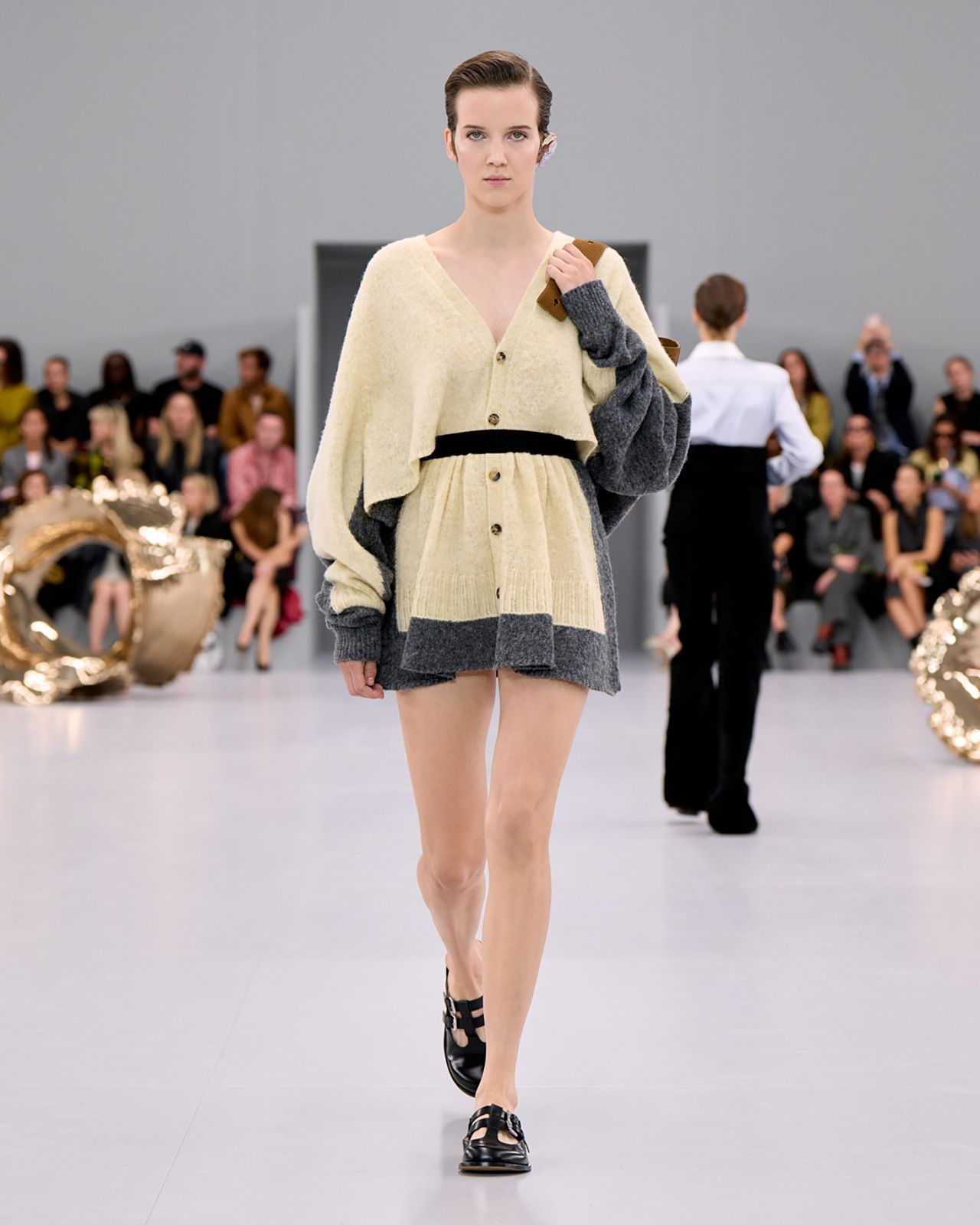 Loewe S S24 15.jpg