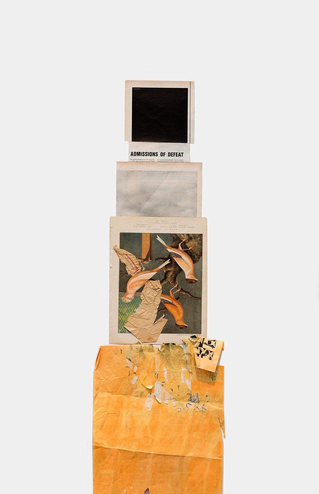 Anohni Totem .jpg
