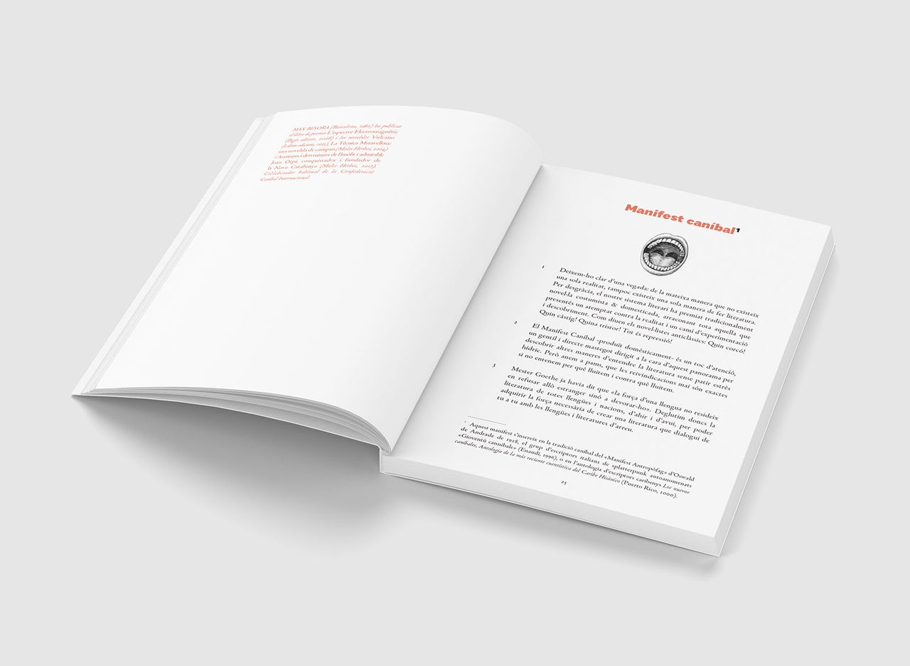 Carndecap Metalmagazine 10.jpg