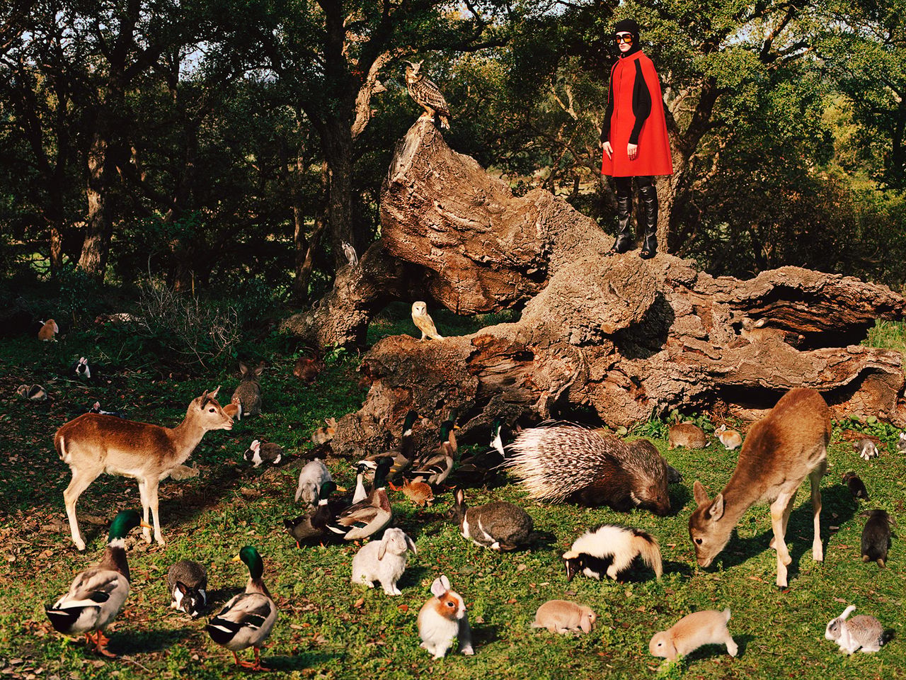 Gucci Pre Fall 2020 Metalmagazine 9.jpg