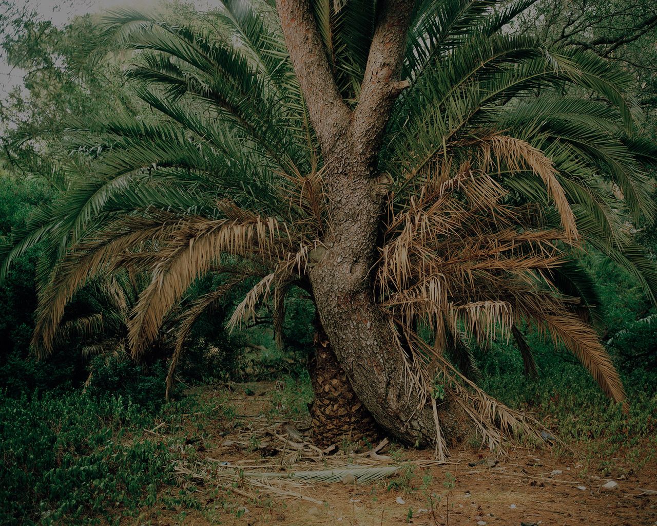 Marco Barbon Galerie Clementine De La Feronnière.jpg
