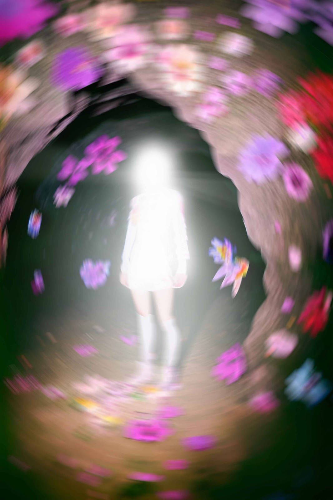 15_Claudia_Fuggetti_LIghtflower.jpg