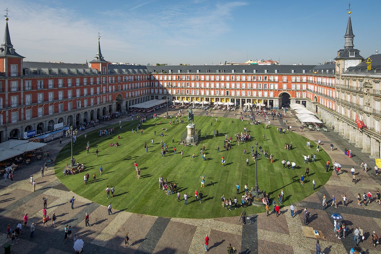 Sp Y Plaza Mayor Cesped.jpg