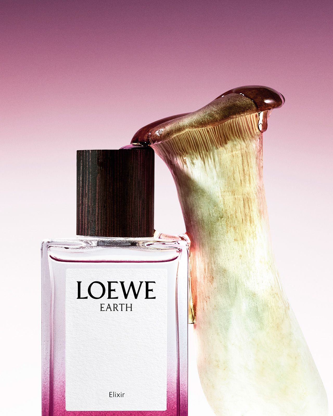 Loewe_Elixir_Still-life115017-1.jpg