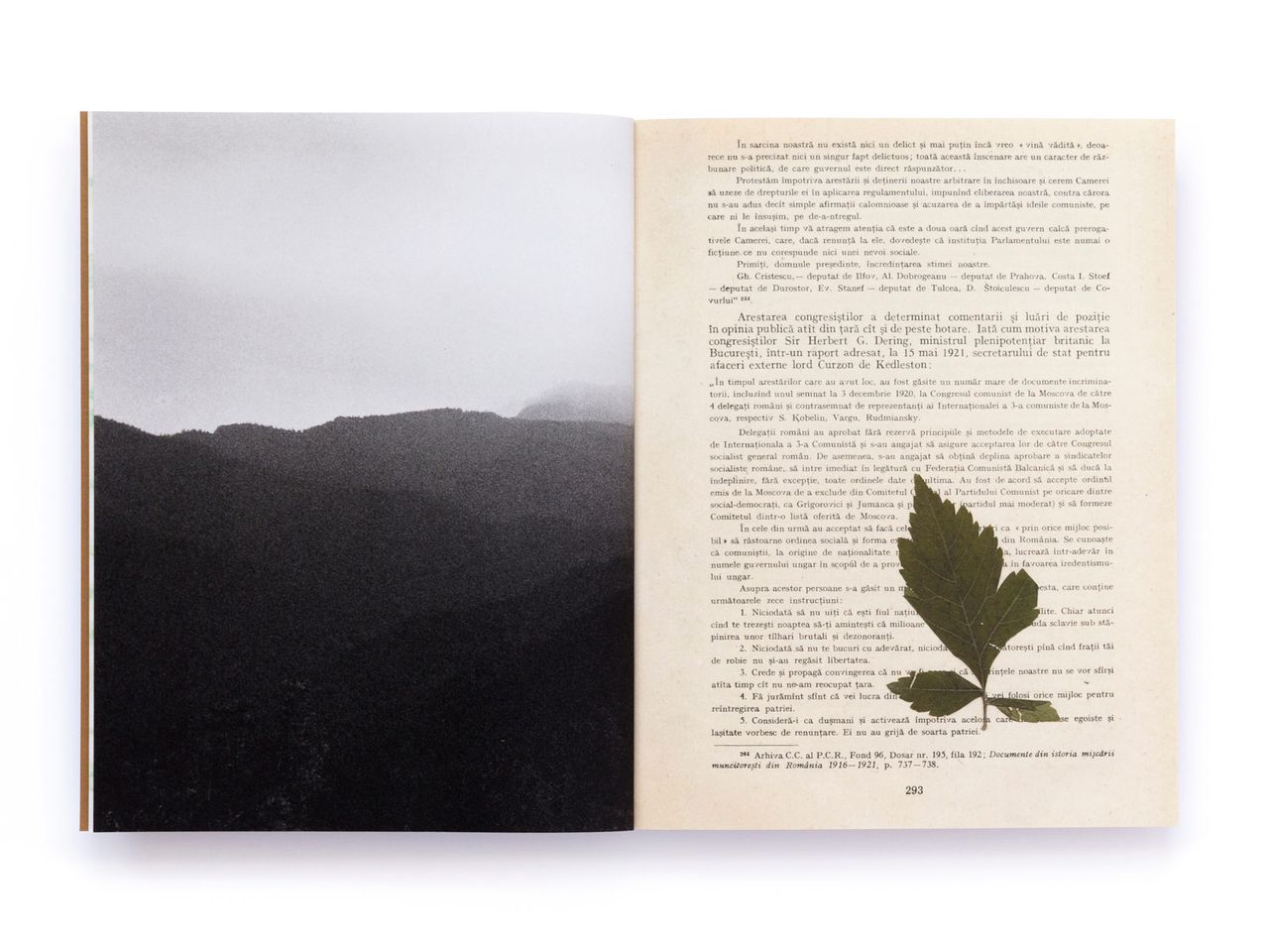 The Tree of Life Is Eternally Green Pascual Y Vincent Metal Magazine 032.jpg