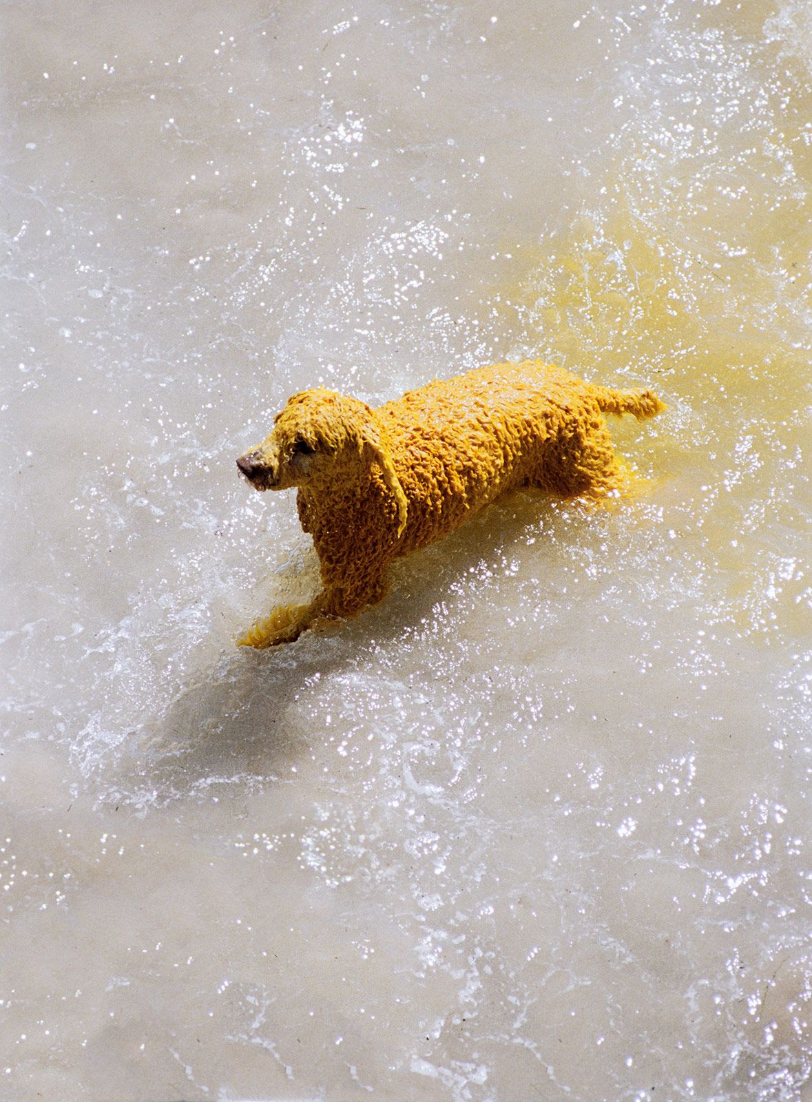 Camper Together Eckhaus Latta Metalmagazine 2.jpg