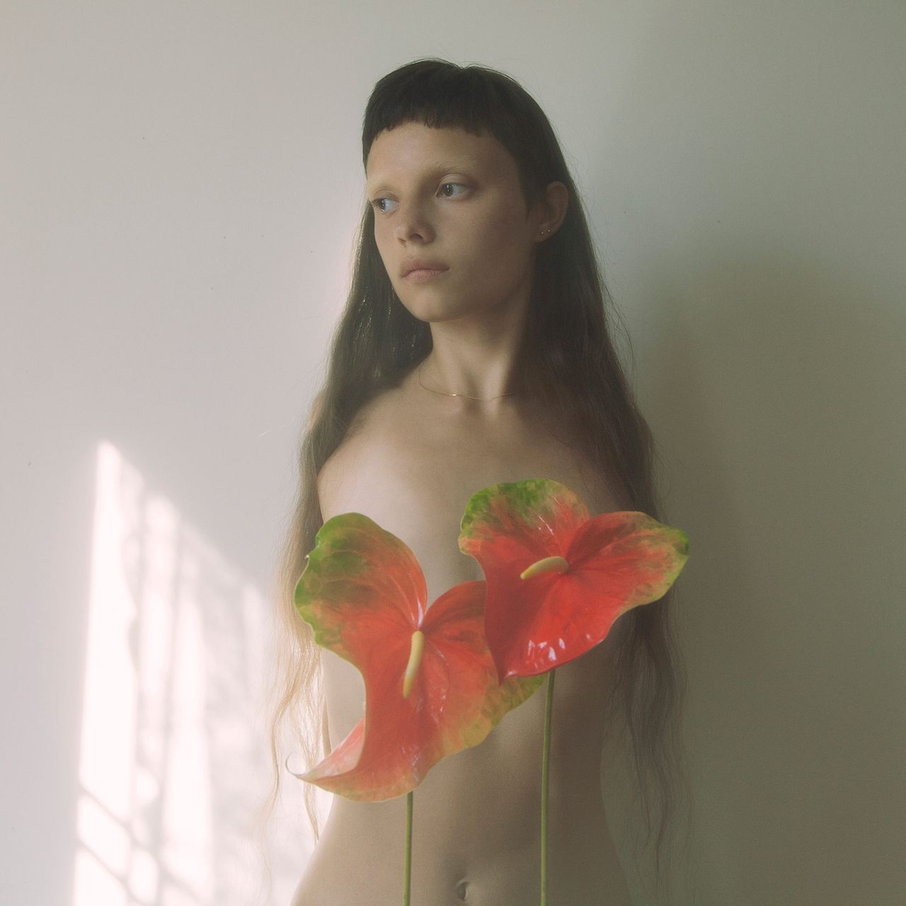 Jordan Tiberio 02.jpg
