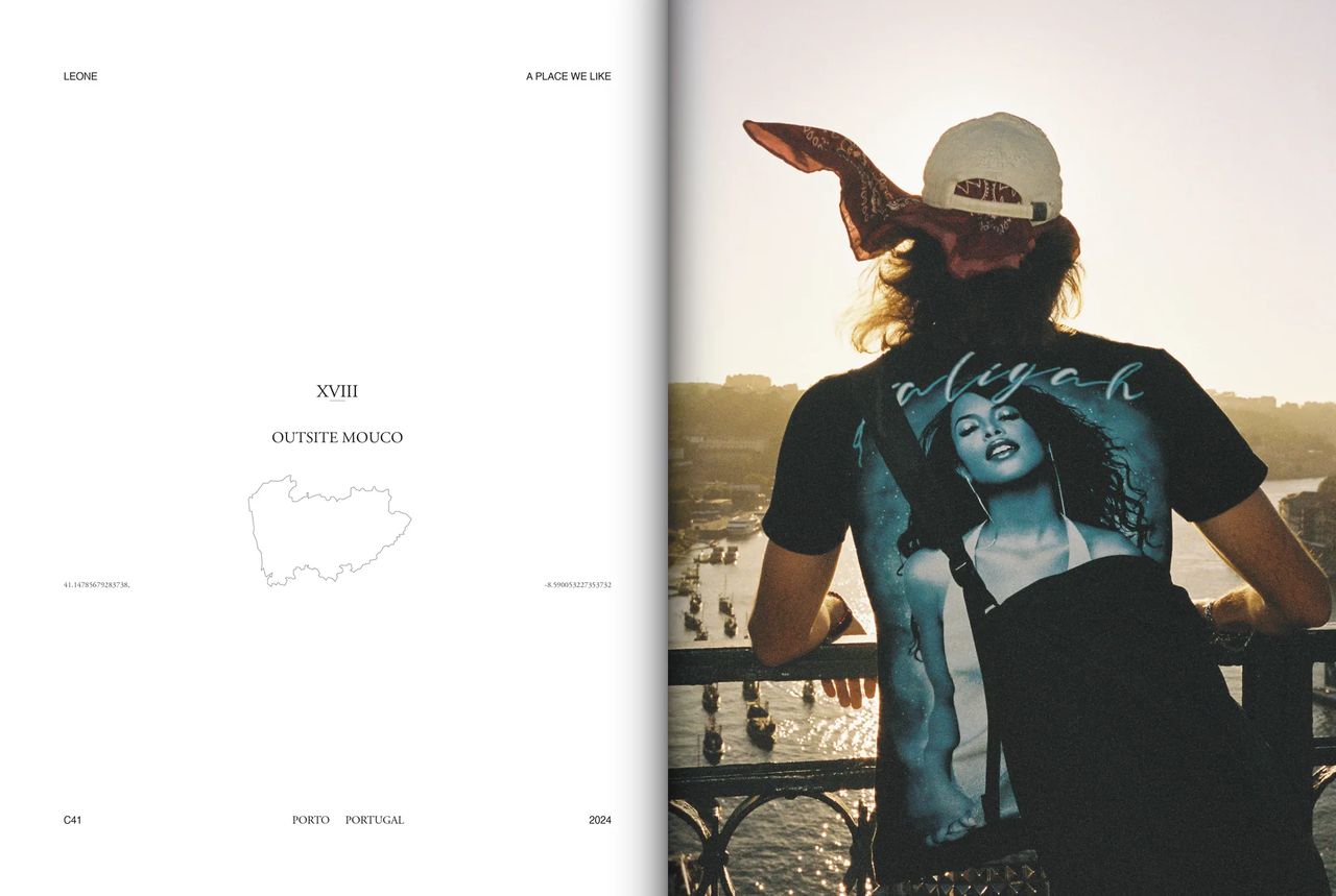 metal-leone-edit-06.webp