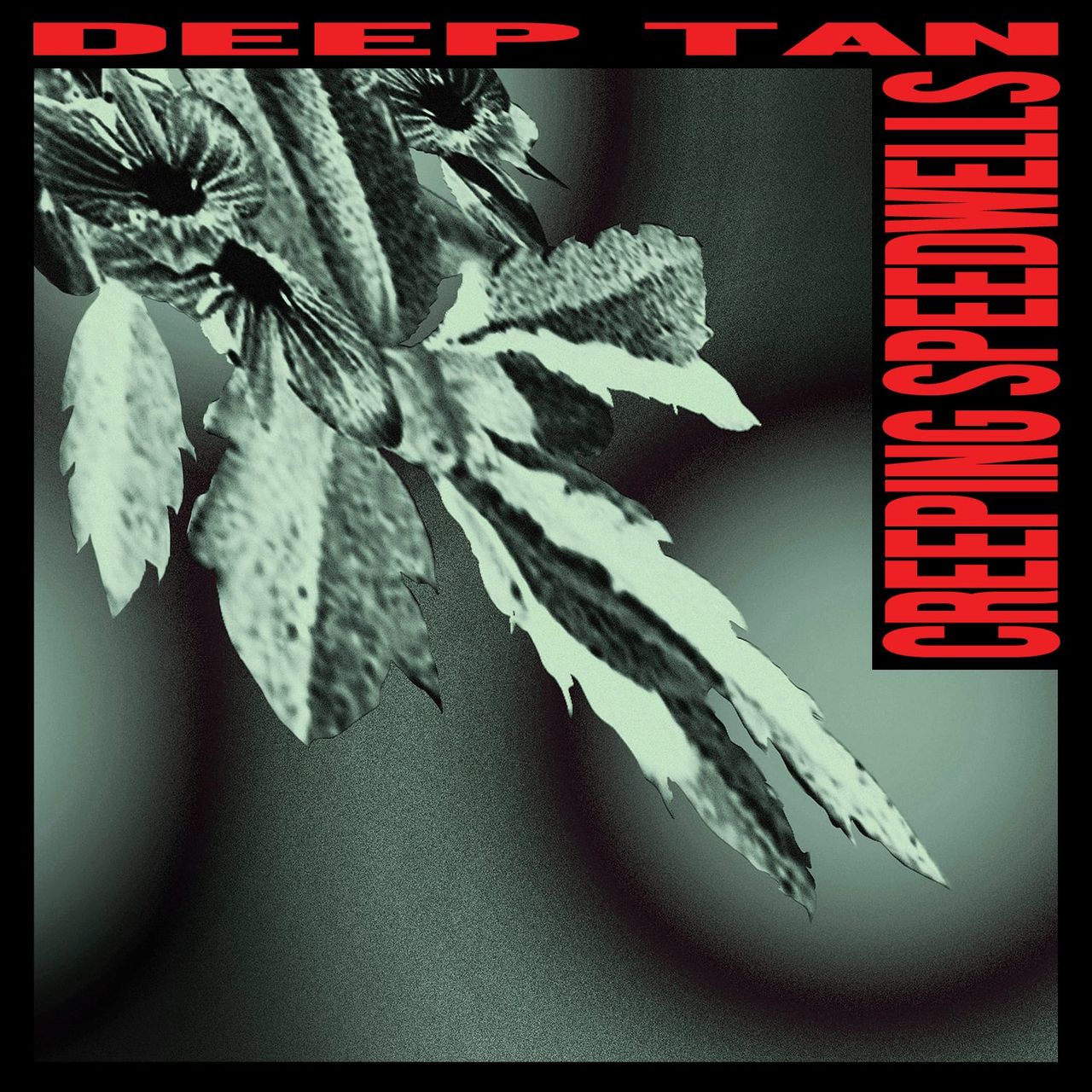 Deep Tan   Creeping Speedwells Ep Final Art 1500x1500 72 Dpi Rgb Web.jpg