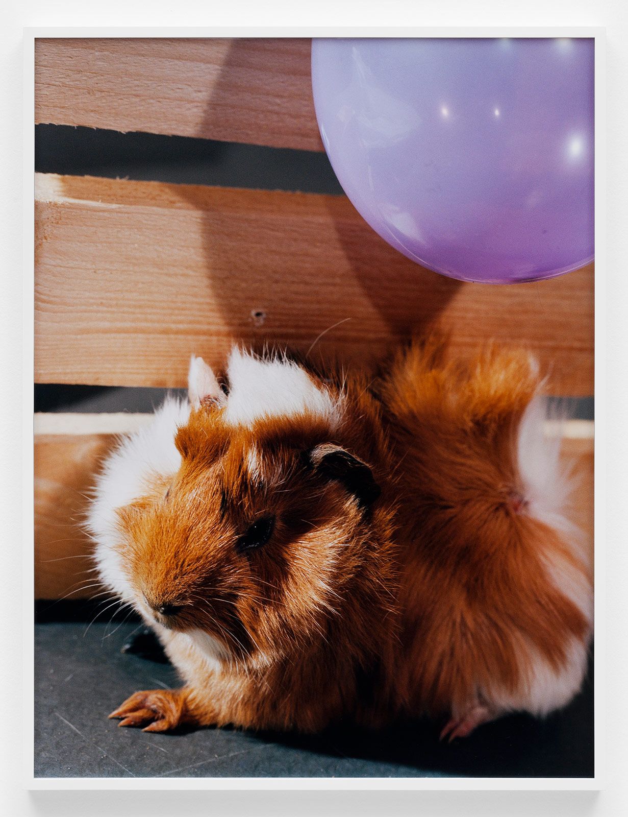 2019 Studio Photography 14.jpg