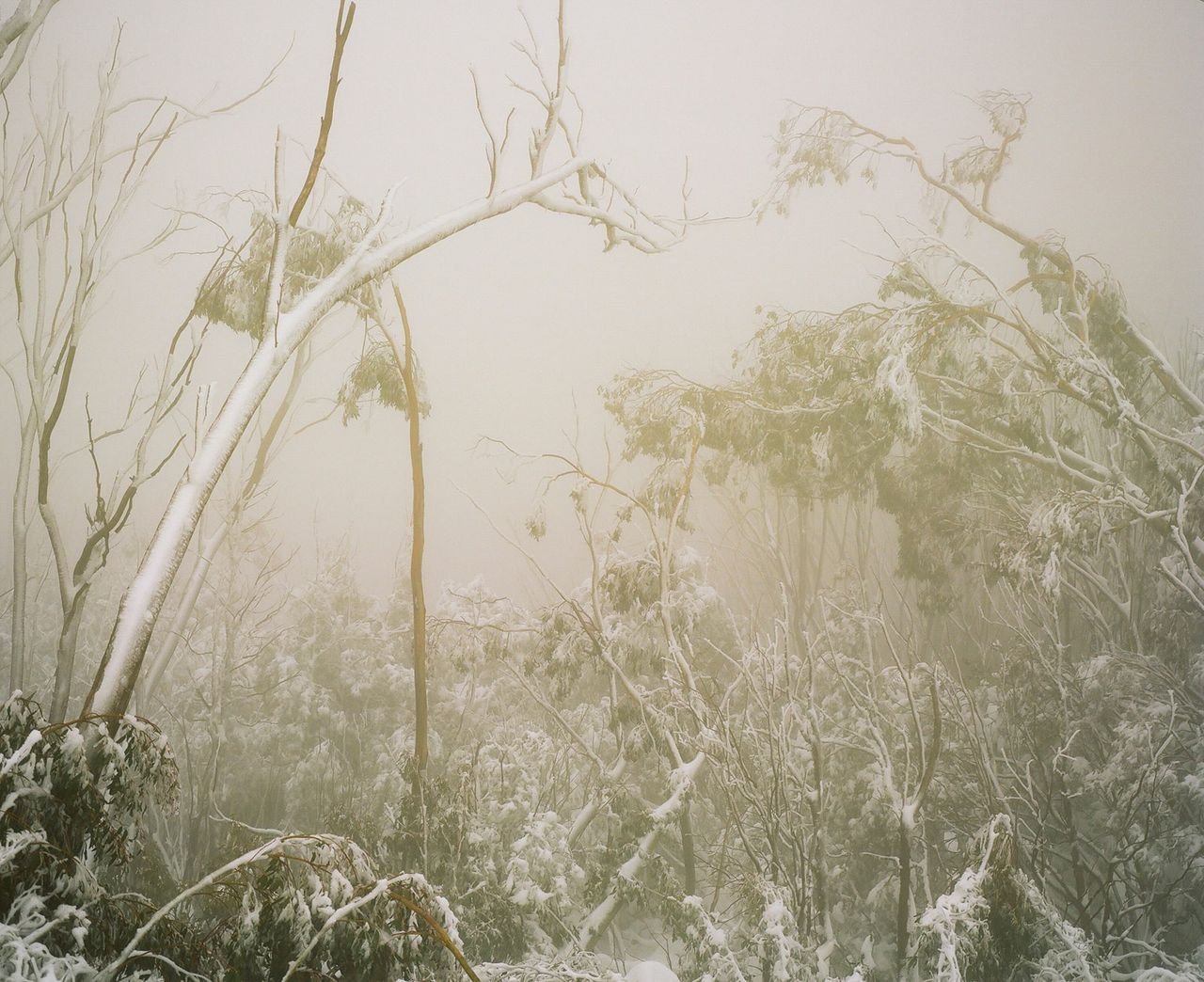 Katrin Koenning Metalmagazine 20.jpg