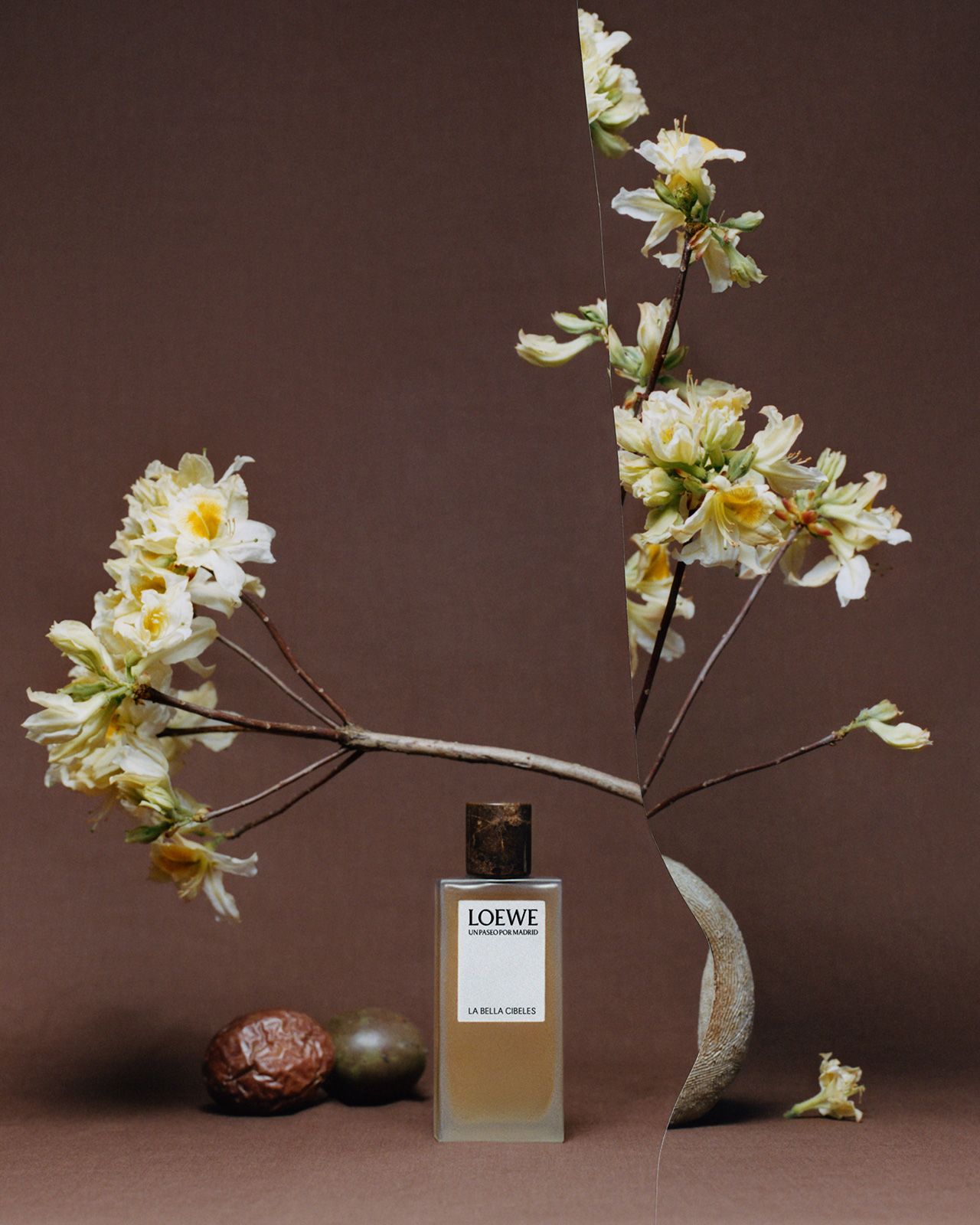 Loewe Perfumes 9.jpg