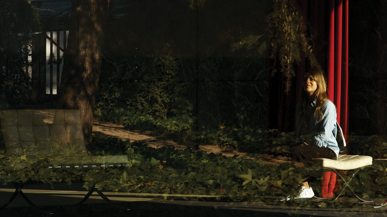 Reflexes2.jpg