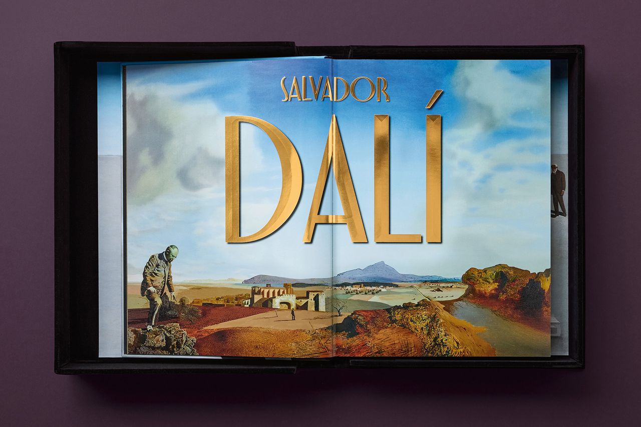 DALI_BABY_SUMO_CE_INT_BOXOPEN001-004-005-X_01147.jpg
