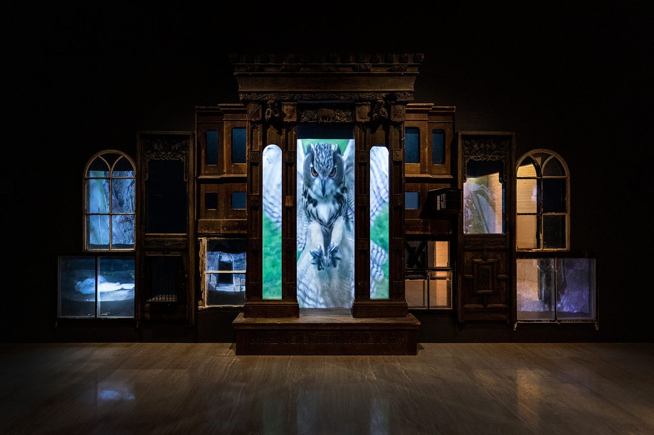 Mat Collishaw 3.jpg