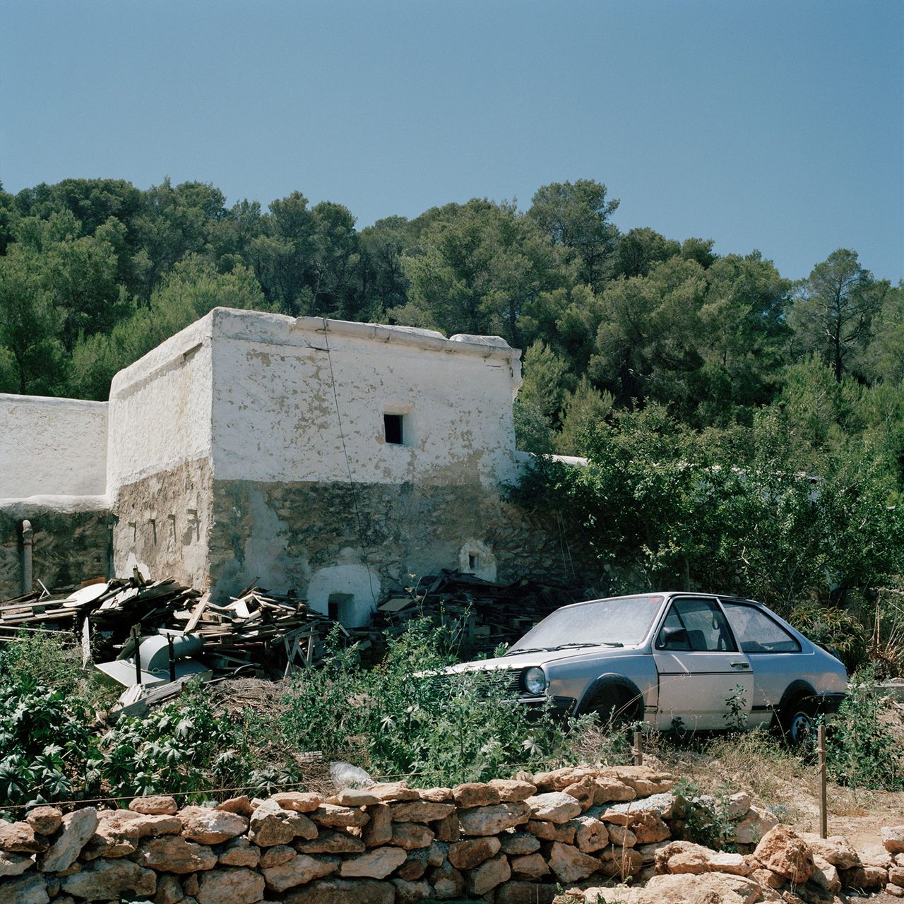 Riccardi Valentina 15.jpg