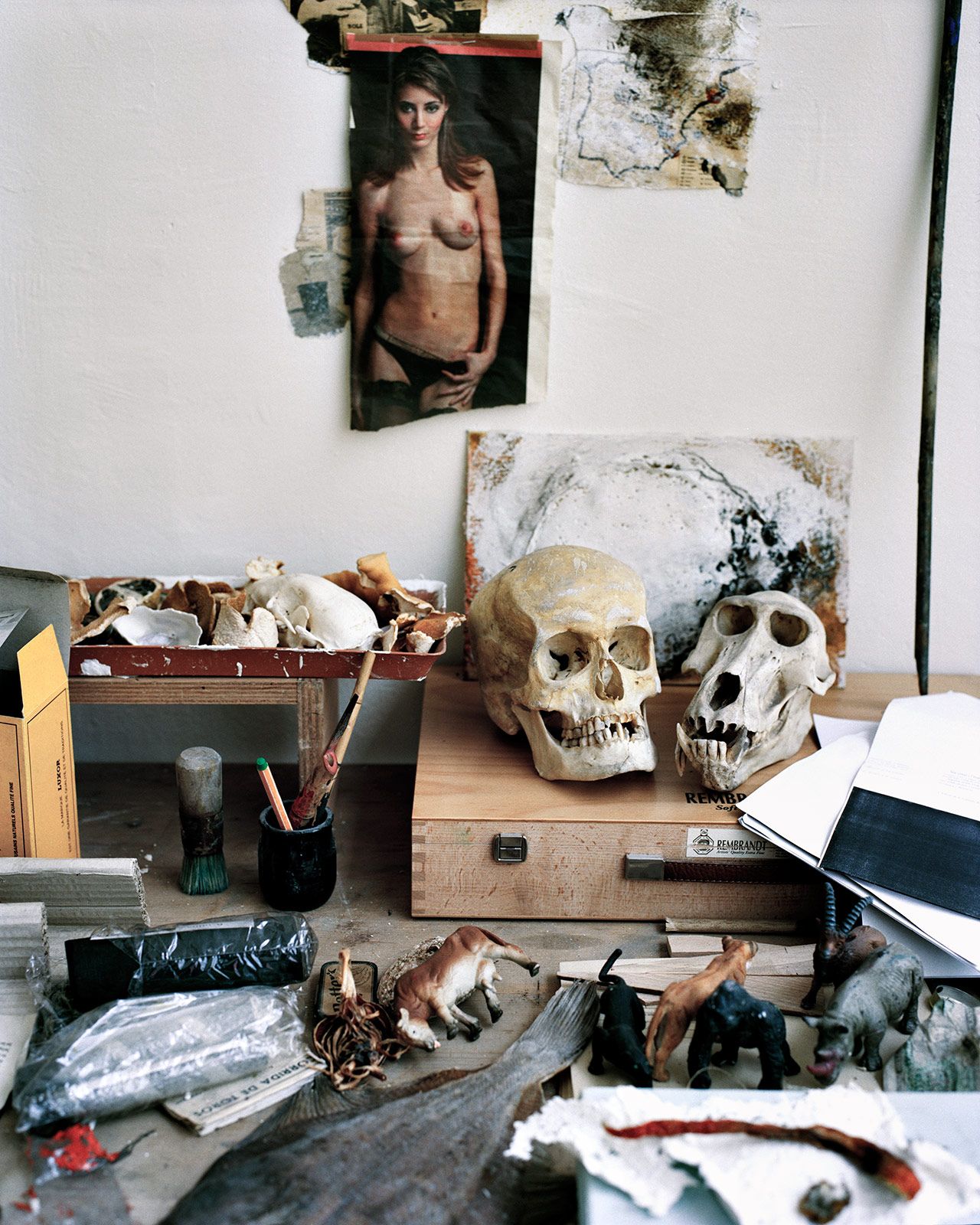 Francois Halard Metalmagazine 8.jpg