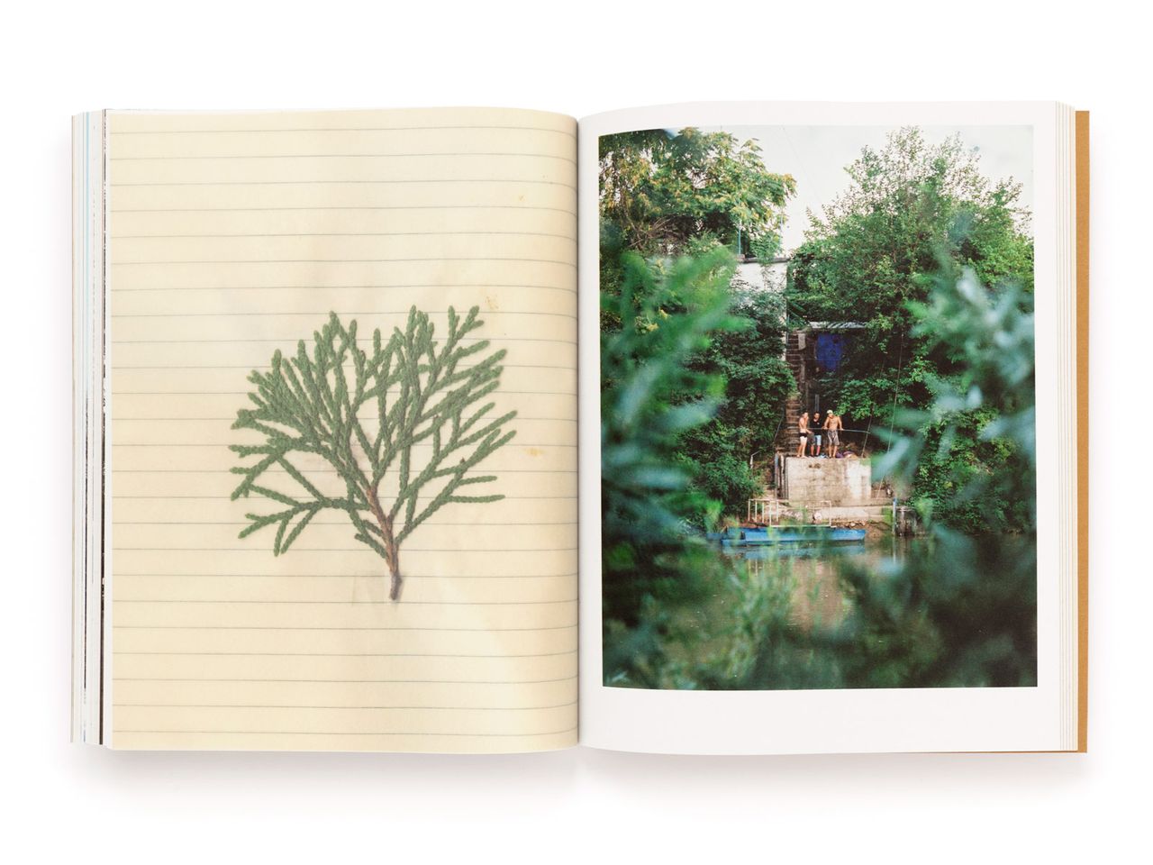 The Tree of Life Is Eternally Green Pascual Y Vincent Metal Magazine 040.jpg