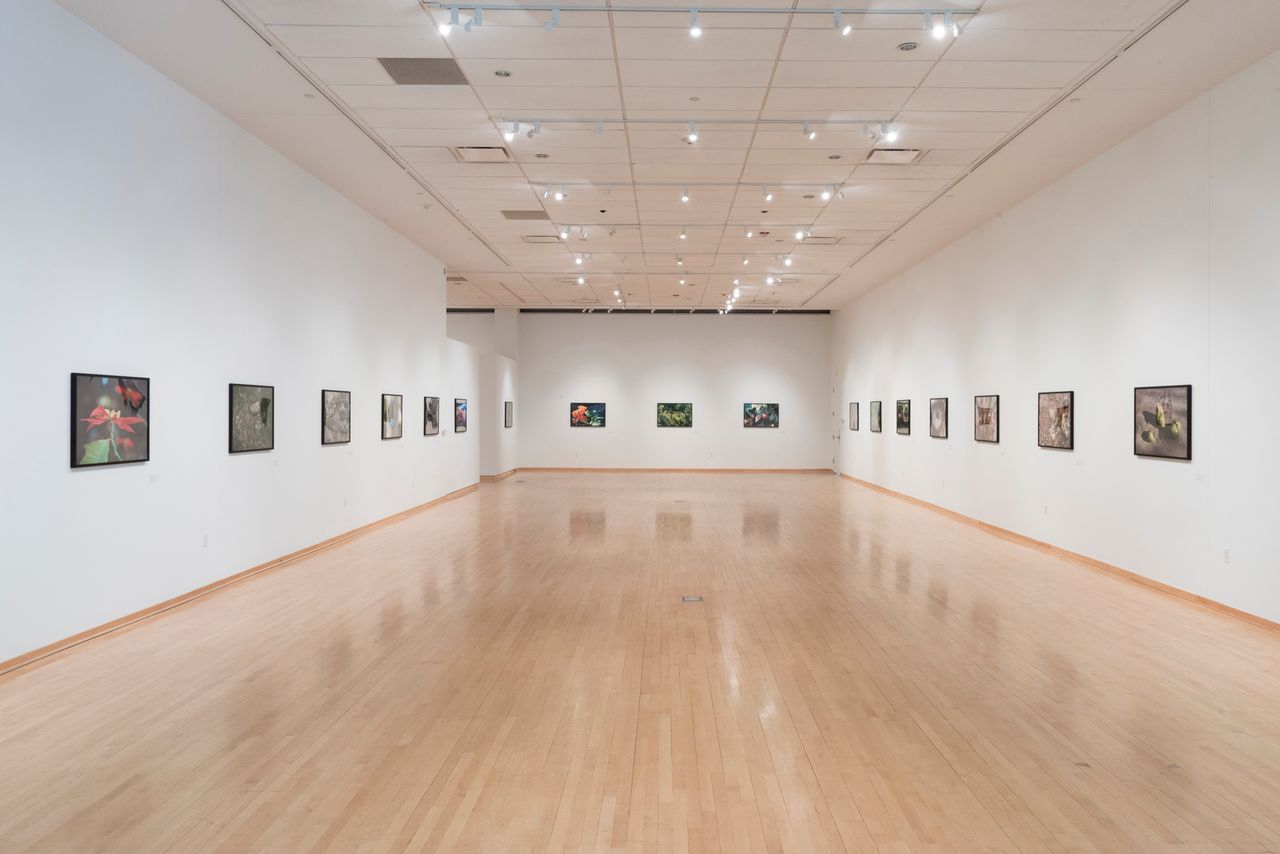 Exhibition Installation2.jpg