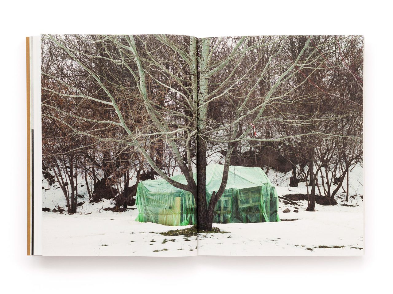 The Tree of Life Is Eternally Green Pascual Y Vincent Metal Magazine 033.jpg