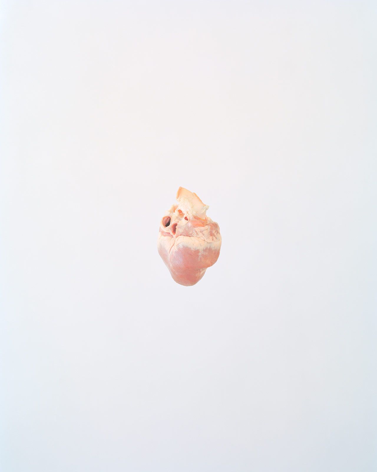 Ward Roberts Metalmagazine 1.jpg