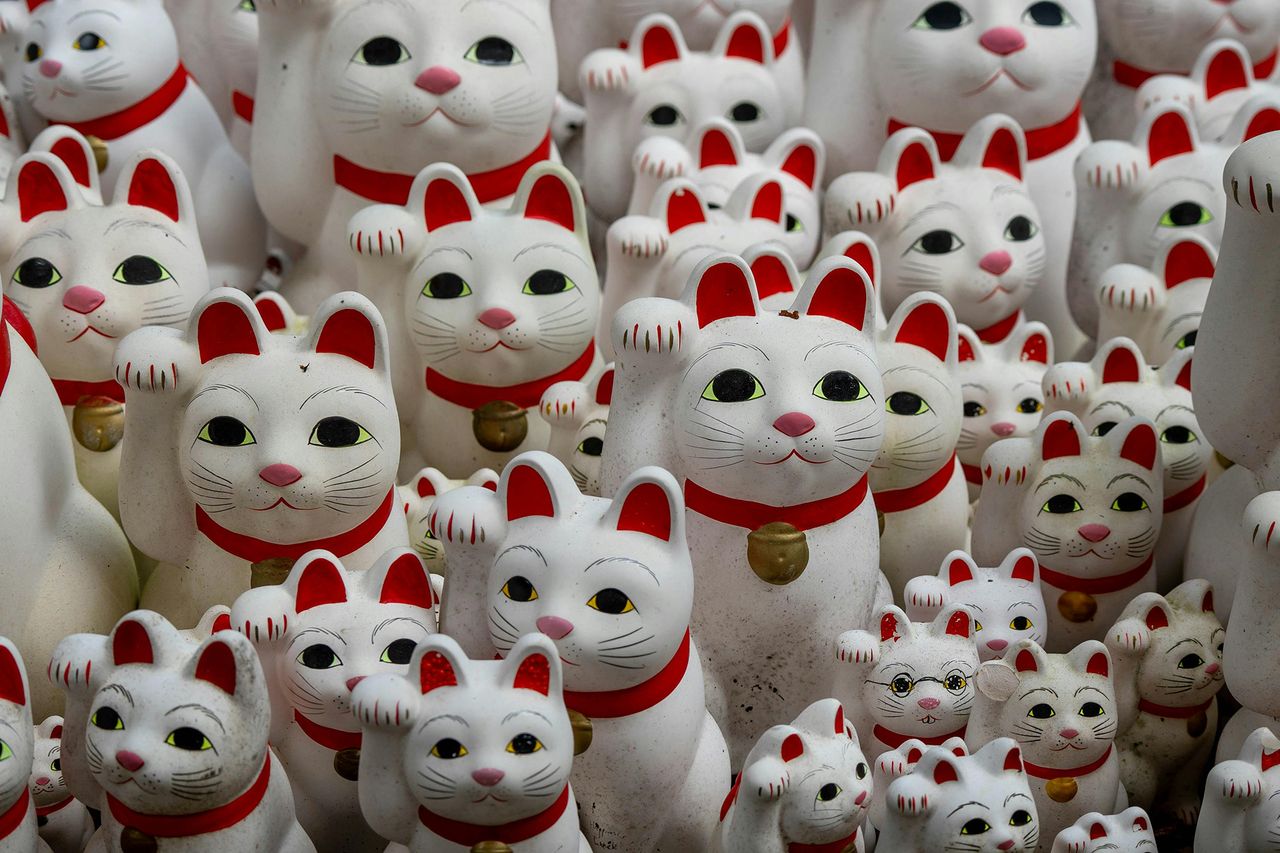 Maneki-neko-by-Mateusz-Walendzik.jpg