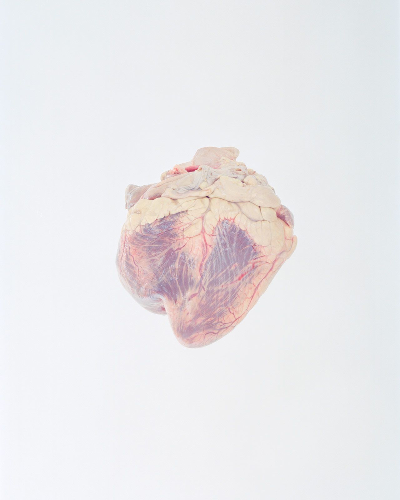 Ward Roberts Metalmagazine 22.jpg