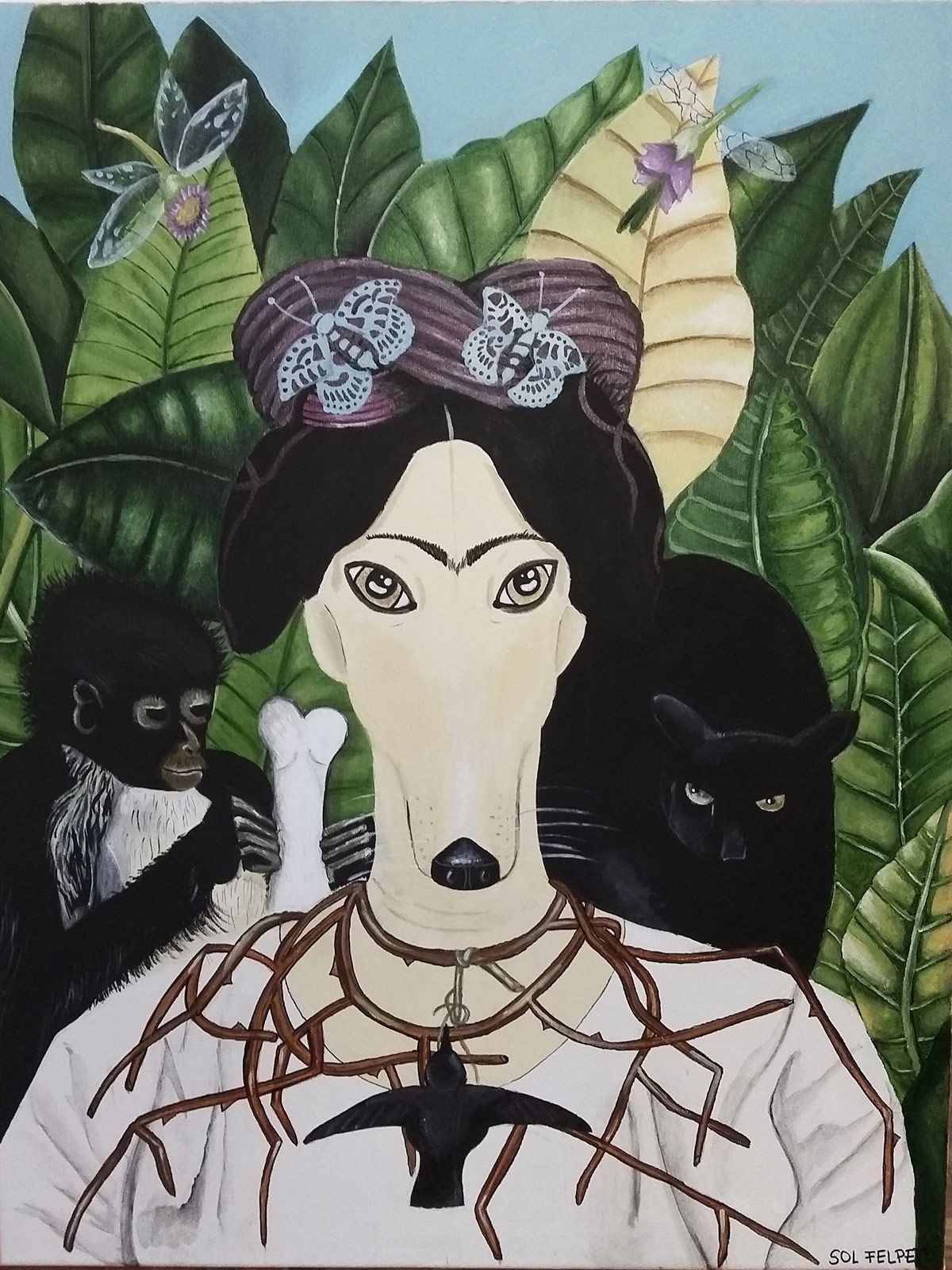 Frida Galgo.jpg