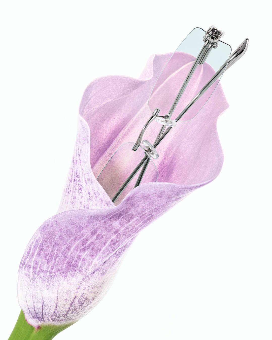 GentleMonster_Bouquet-Collection_7.jpg