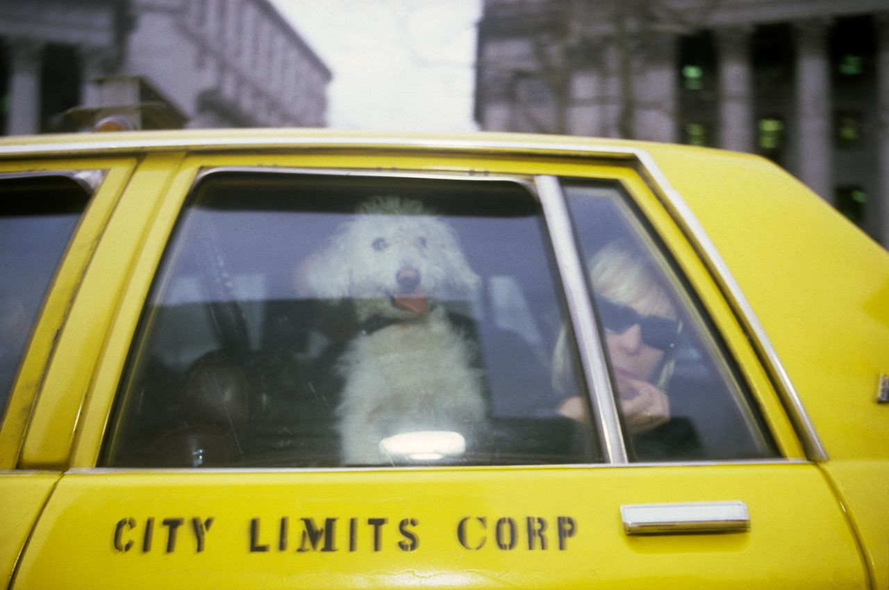 Nan-Goldin_7.jpg